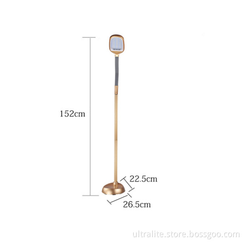 multifunction adjustable changeable color LED floor lamp